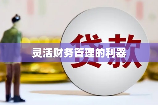 嵊州灵活财务管理的利器