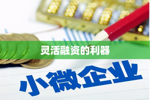 嵊州灵活融资的利器