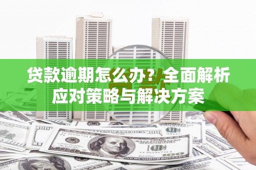 嵊州贷款逾期怎么办？全面解析应对策略与解决方案