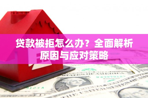 嵊州贷款被拒怎么办？全面解析原因与应对策略