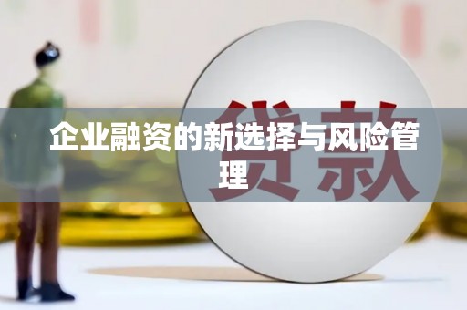 嵊州企业融资的新选择与风险管理