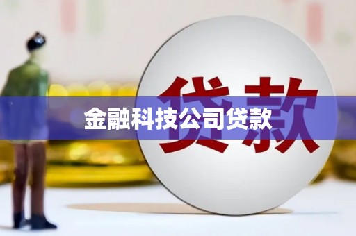 嵊州金融科技公司贷款