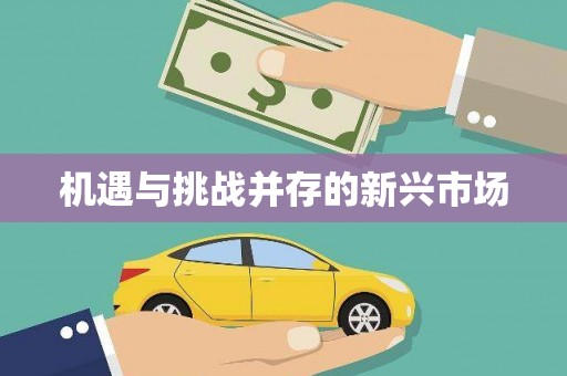 嵊州机遇与挑战并存的新兴市场