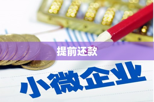 嵊州提前还款