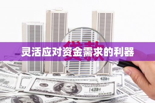 嵊州灵活应对资金需求的利器