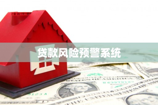 嵊州贷款风险预警系统