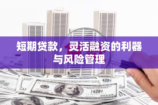 嵊州短期贷款，灵活融资的利器与风险管理