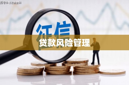 嵊州贷款风险管理