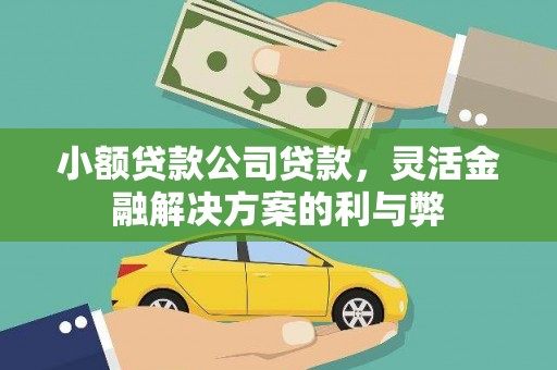 嵊州小额贷款公司贷款，灵活金融解决方案的利与弊