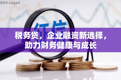 嵊州税务贷，企业融资新选择，助力财务健康与成长